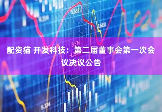 配资猫 开发科技：第二届董事会第一次会议决议公告