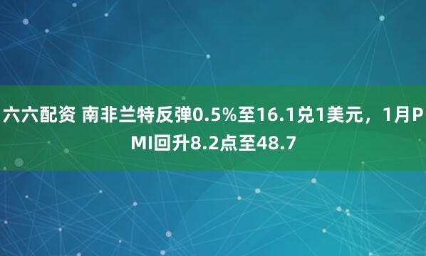 六六配资 南非兰特反弹0.5%至16.1兑1美元，1月PMI回升8.2点至48.7