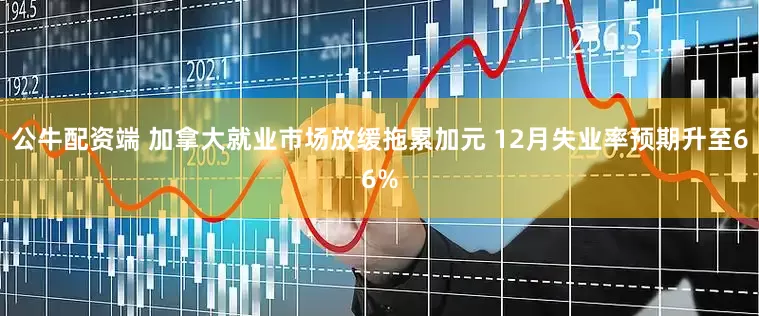 公牛配资端 加拿大就业市场放缓拖累加元 12月失业率预期升至66%